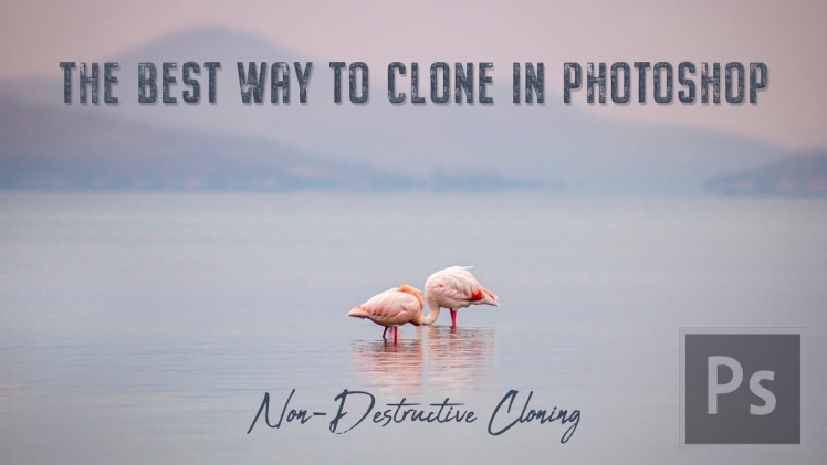 Photo of The Ultimate Guide to Cloning in Photoshop